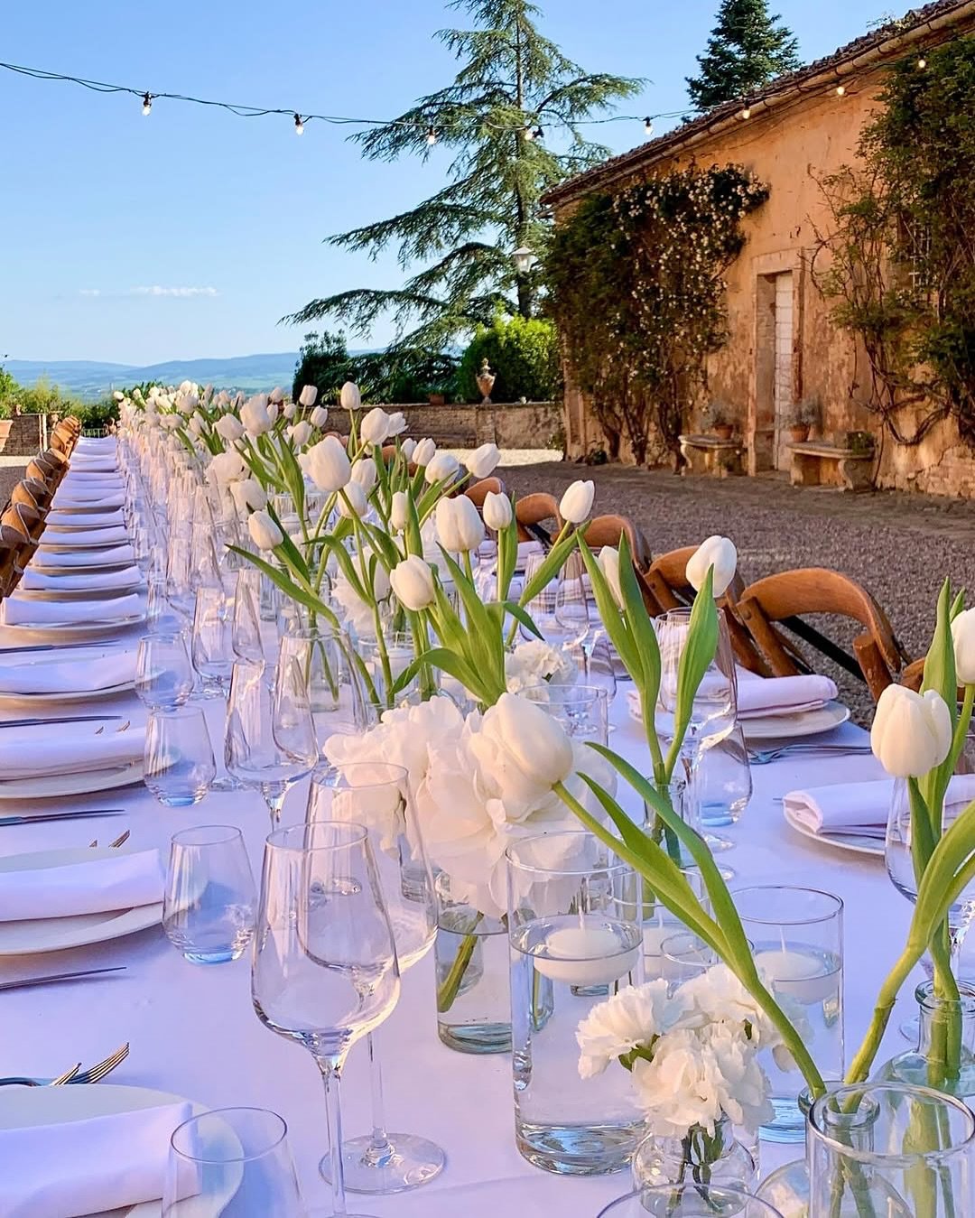 Long wedding table decorated with white tulips.