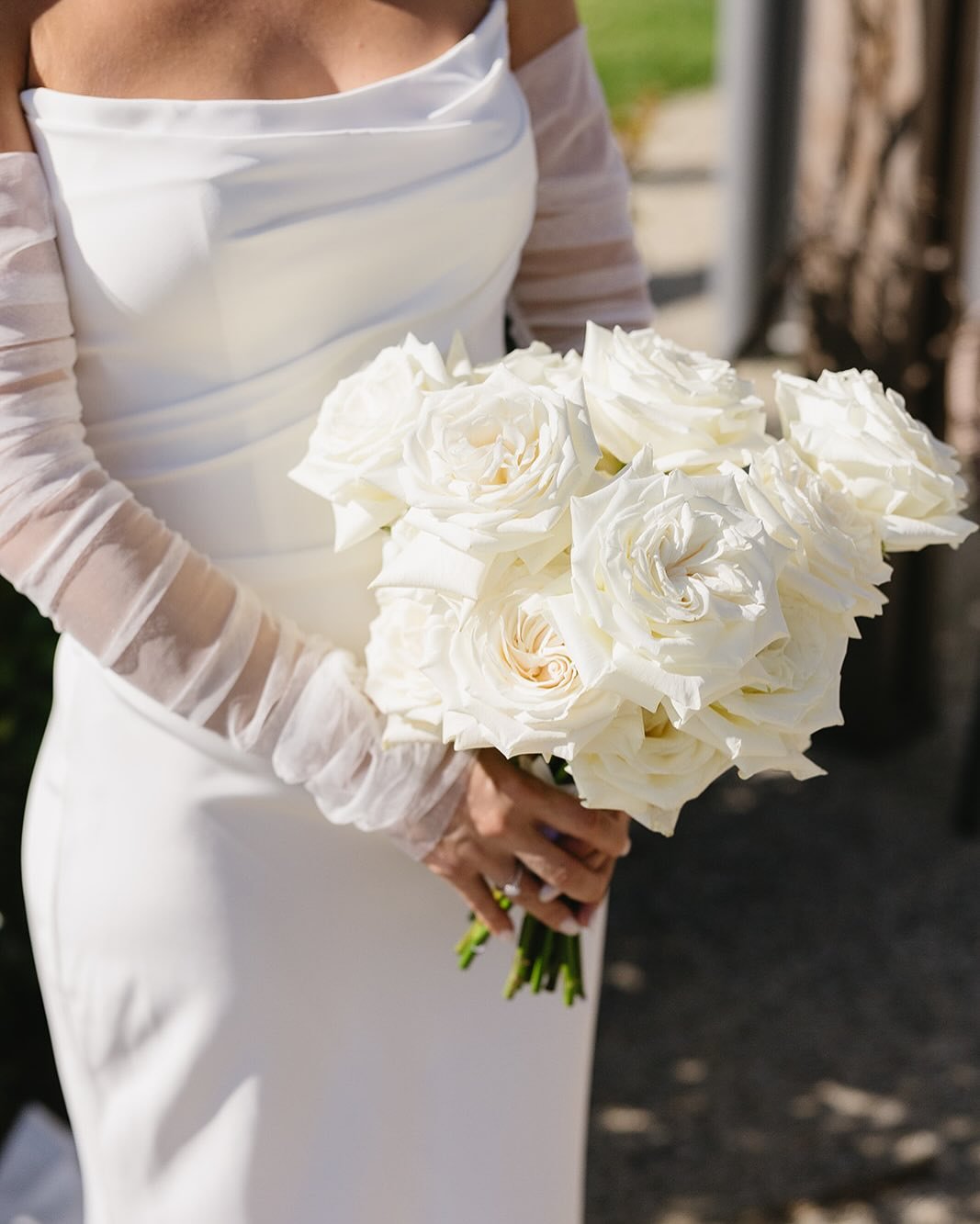 Bride holding a bouquet of white roses.